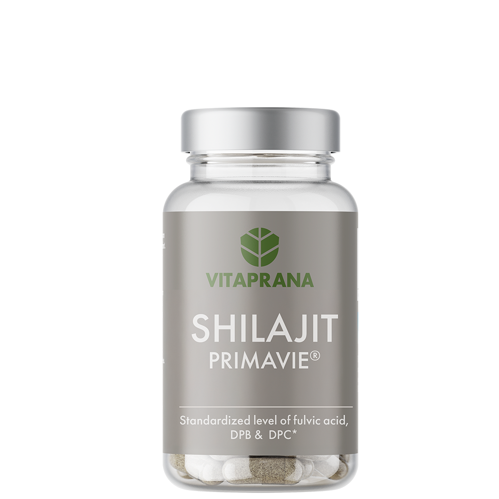 Shilajit 80 kapslar