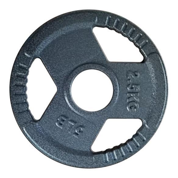 FitNord Viktskiva med grepp 30 mm, Gjutjärn 2,5 kg